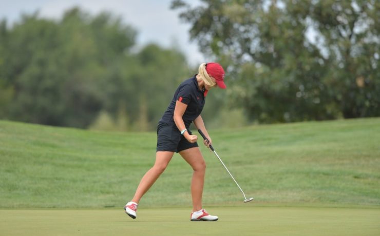 Golf lernen und schnell besser werden
